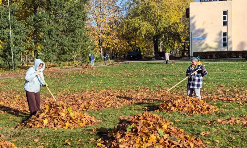 Наведение порядка на территории сл